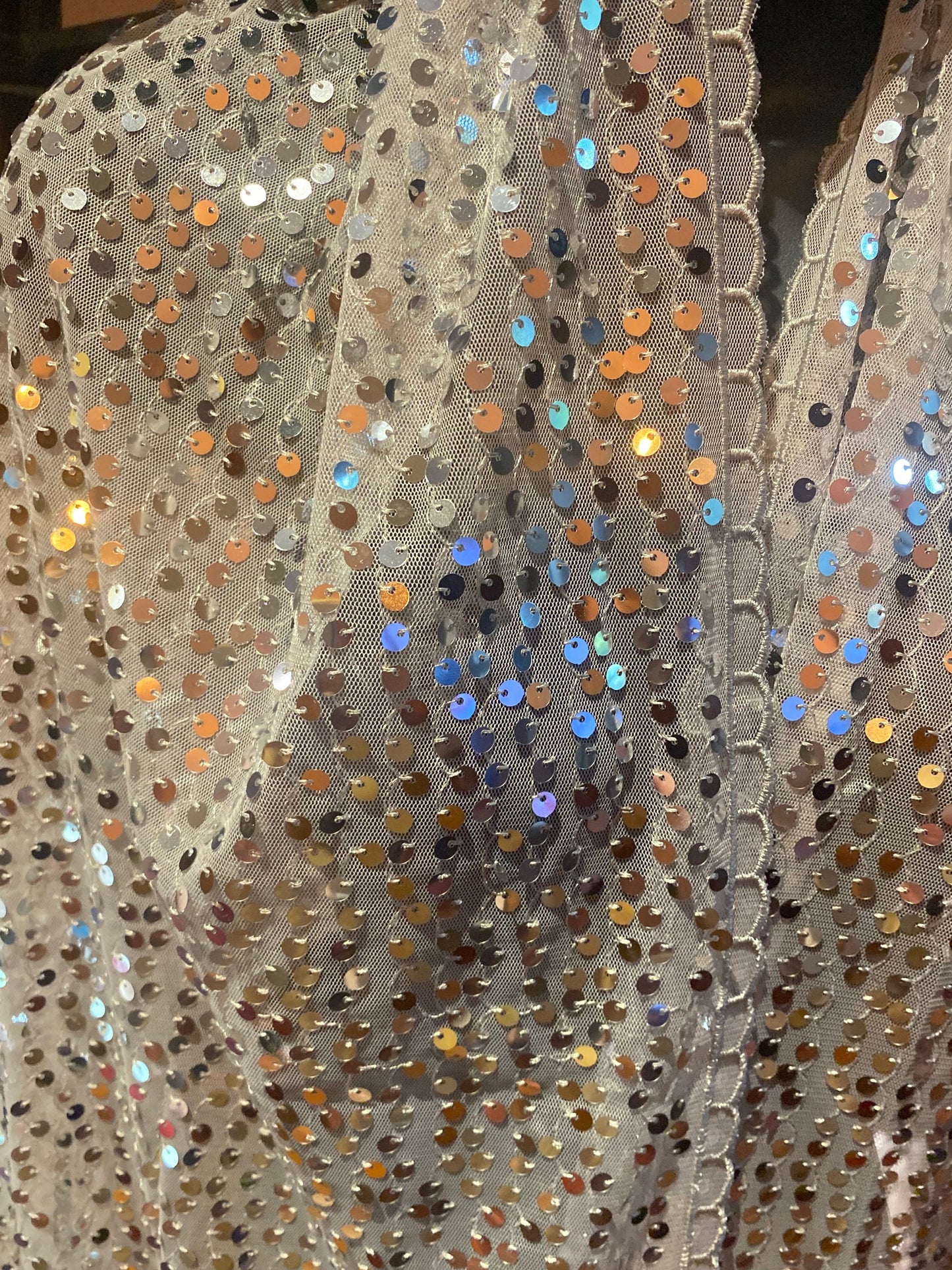 Vintage Styled Sheer Silver Sequined Embroidered Wrap Shawl