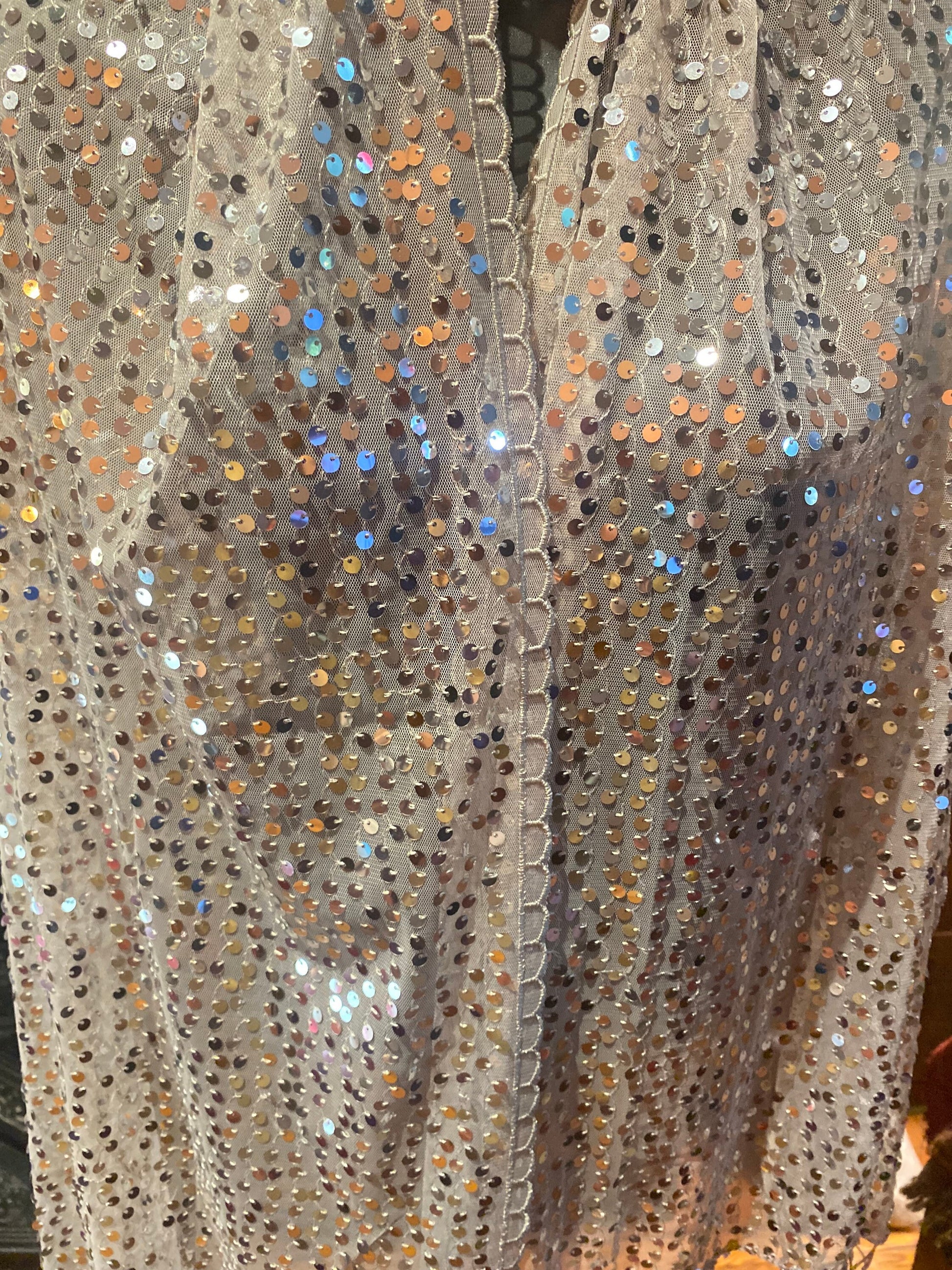 Vintage Styled Sheer Silver Sequined Embroidered Wrap Shawl