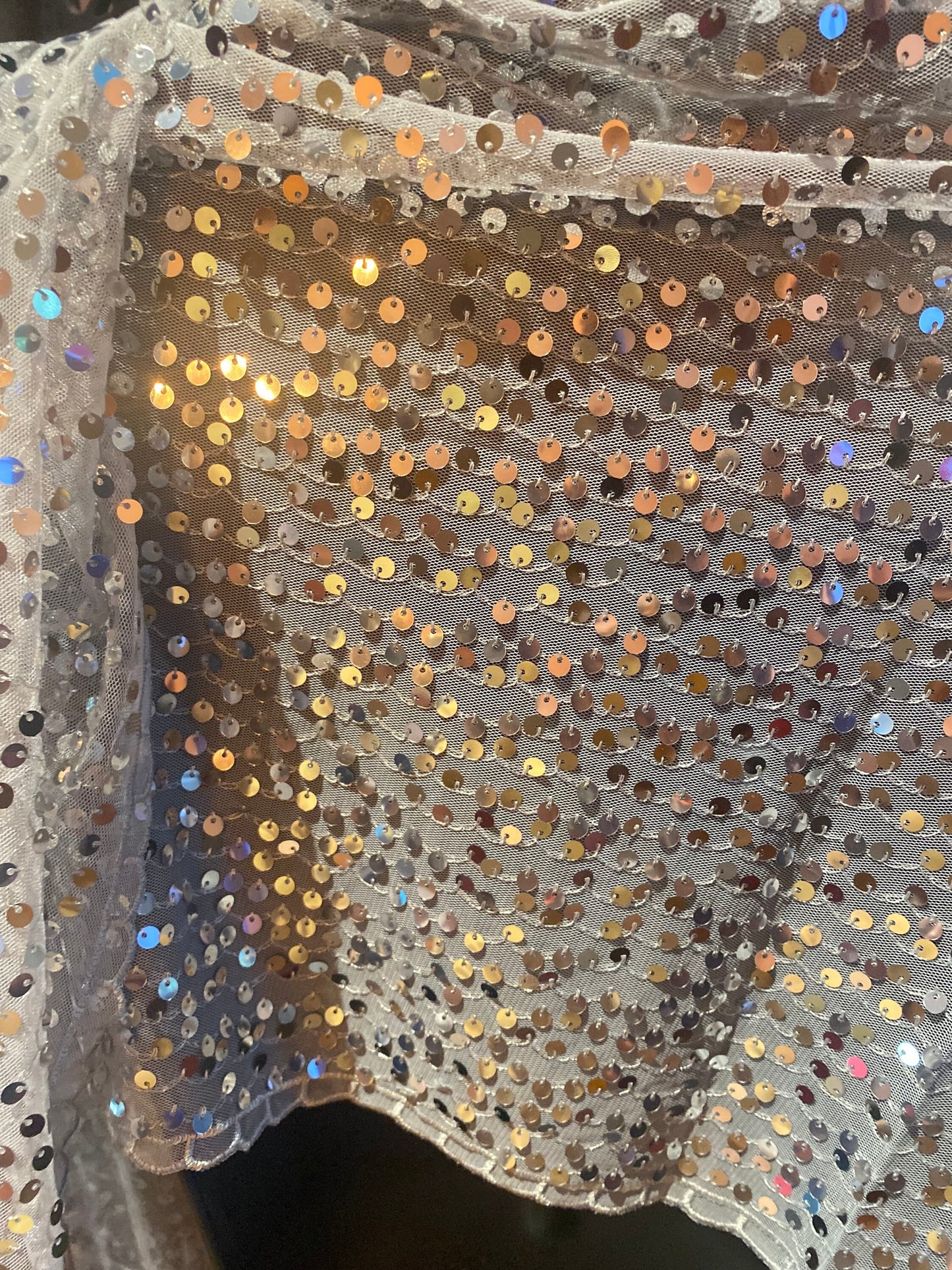 Vintage Styled Sheer Silver Sequined Embroidered Wrap Shawl