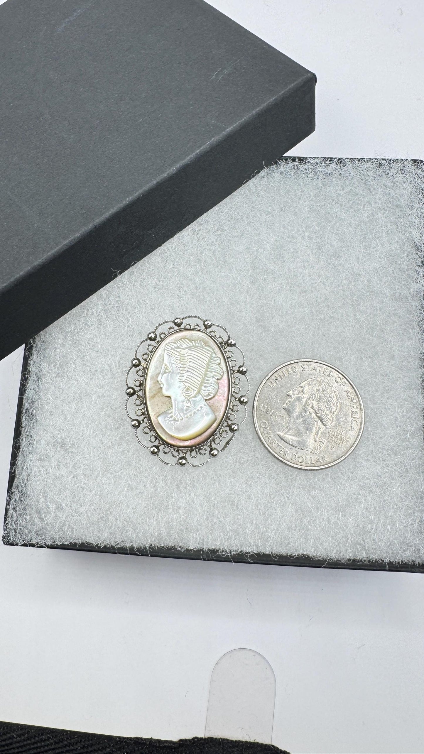 Vintage abalone Cameo Sterling Silver Necklace Pin Brooch