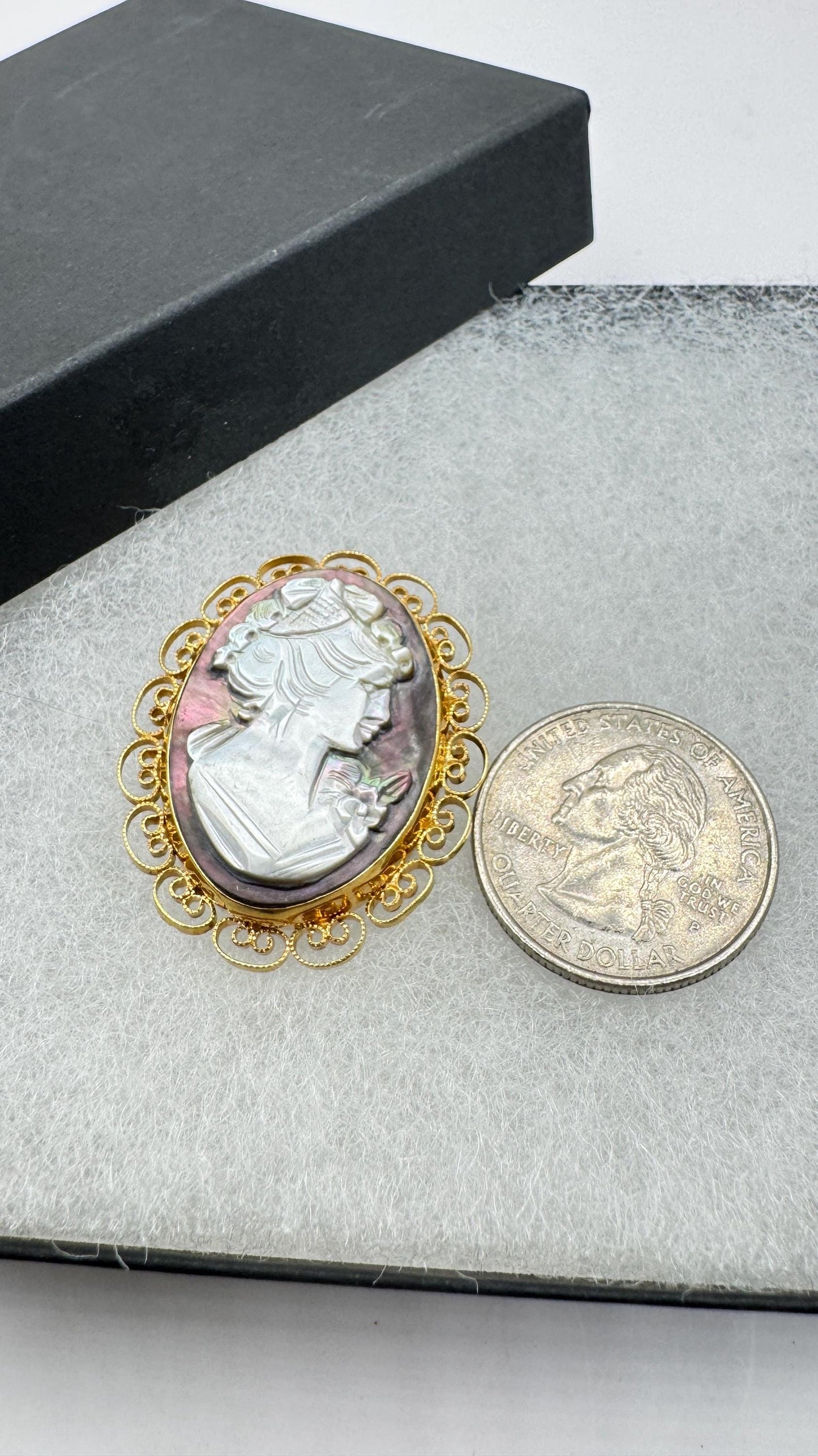 Vintage abalone Cameo Gold Filled Necklace Pin Brooch