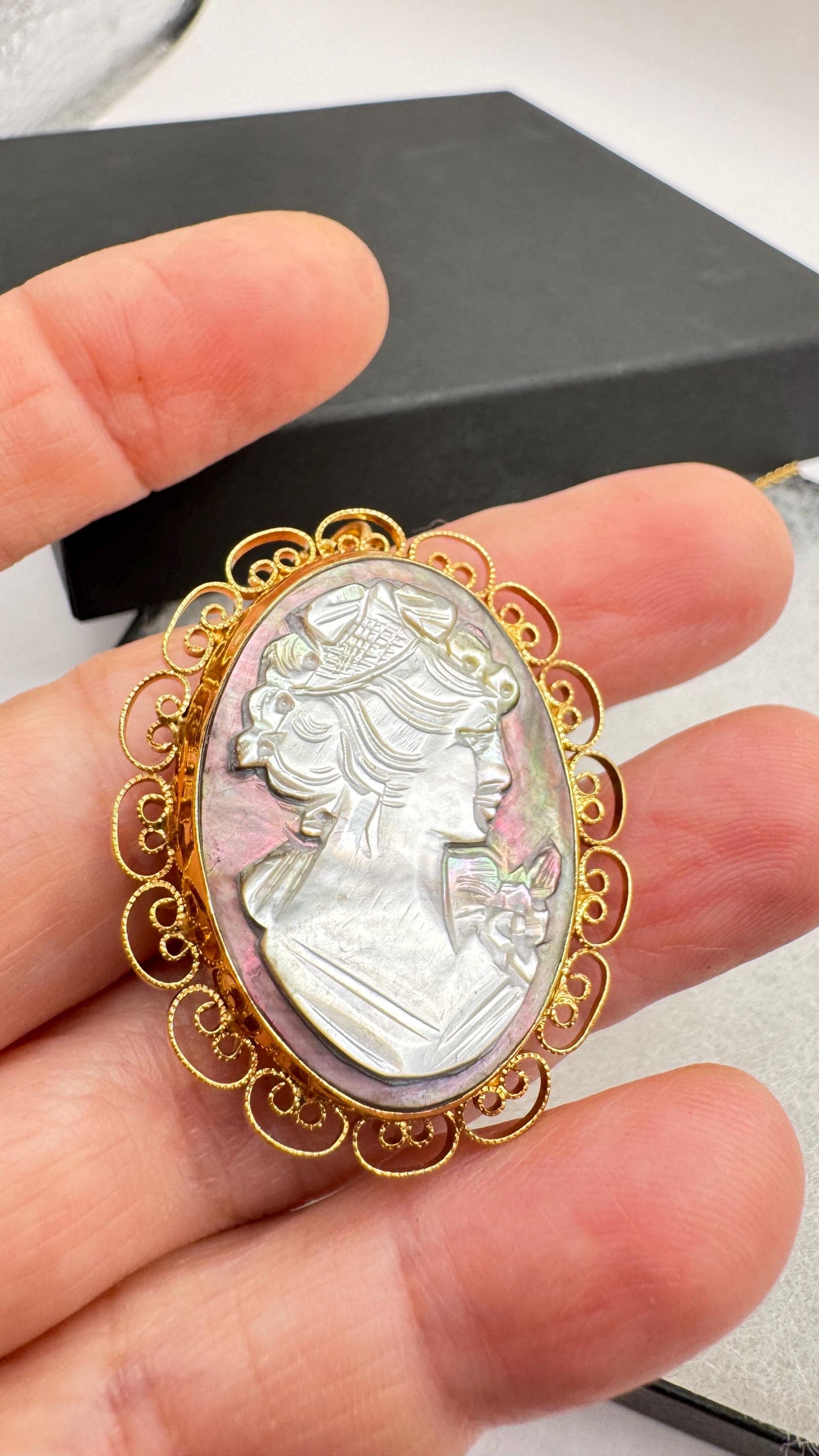 Vintage abalone Cameo Gold Filled Necklace Pin Brooch