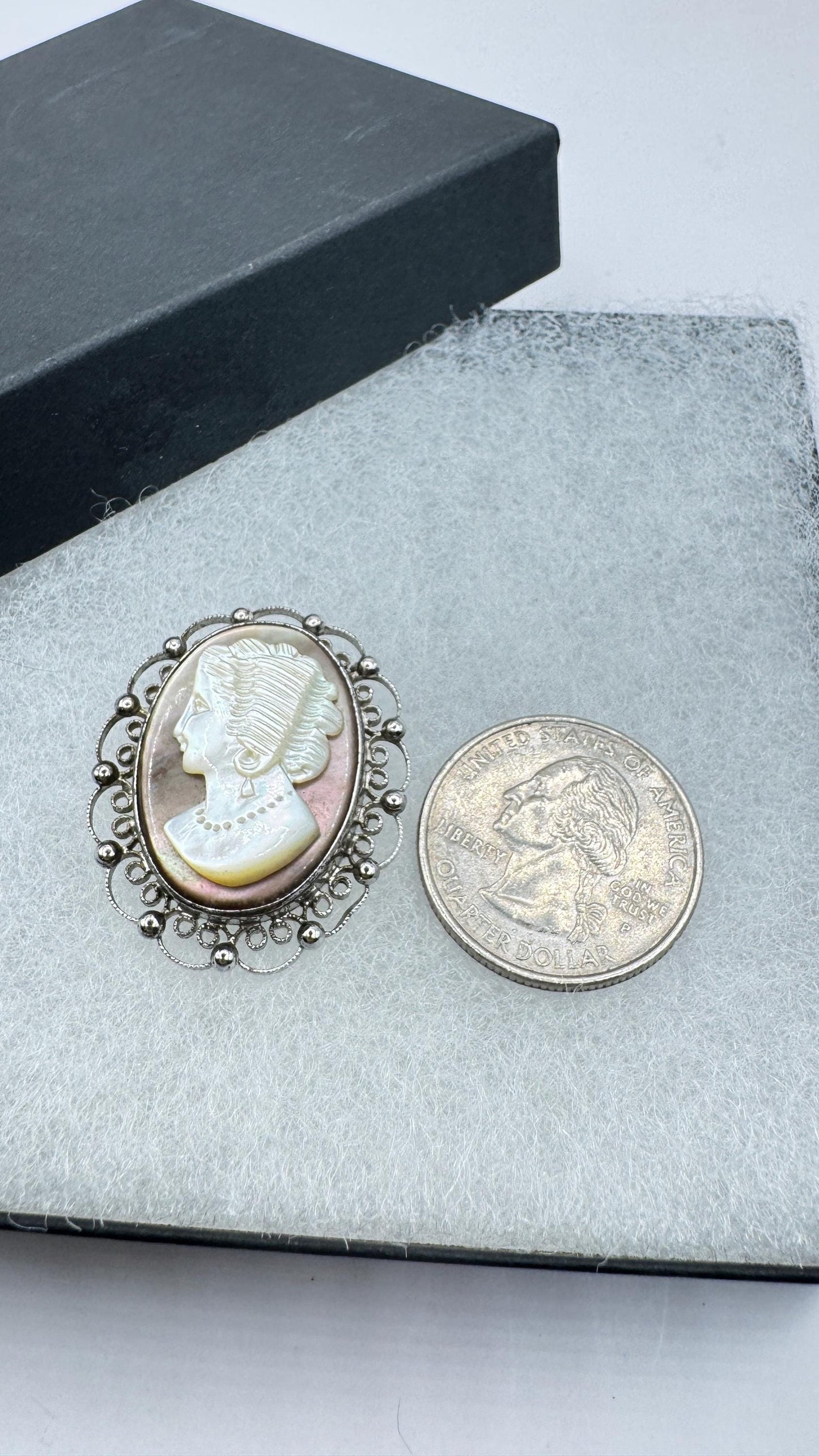 Vintage abalone Cameo Sterling Silver Necklace Pin Brooch